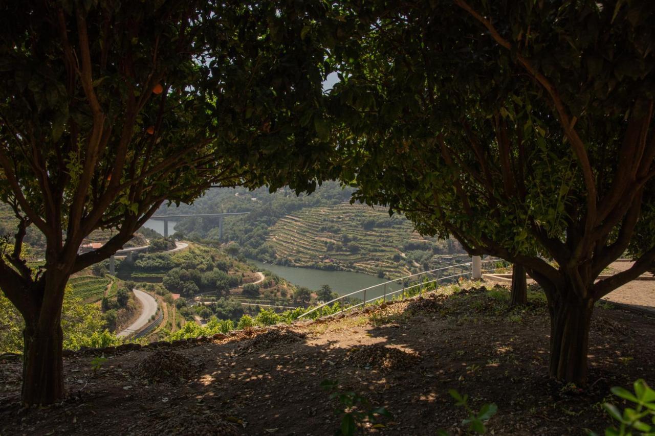 Quinta Da Granja Lejlighed Baião Eksteriør billede