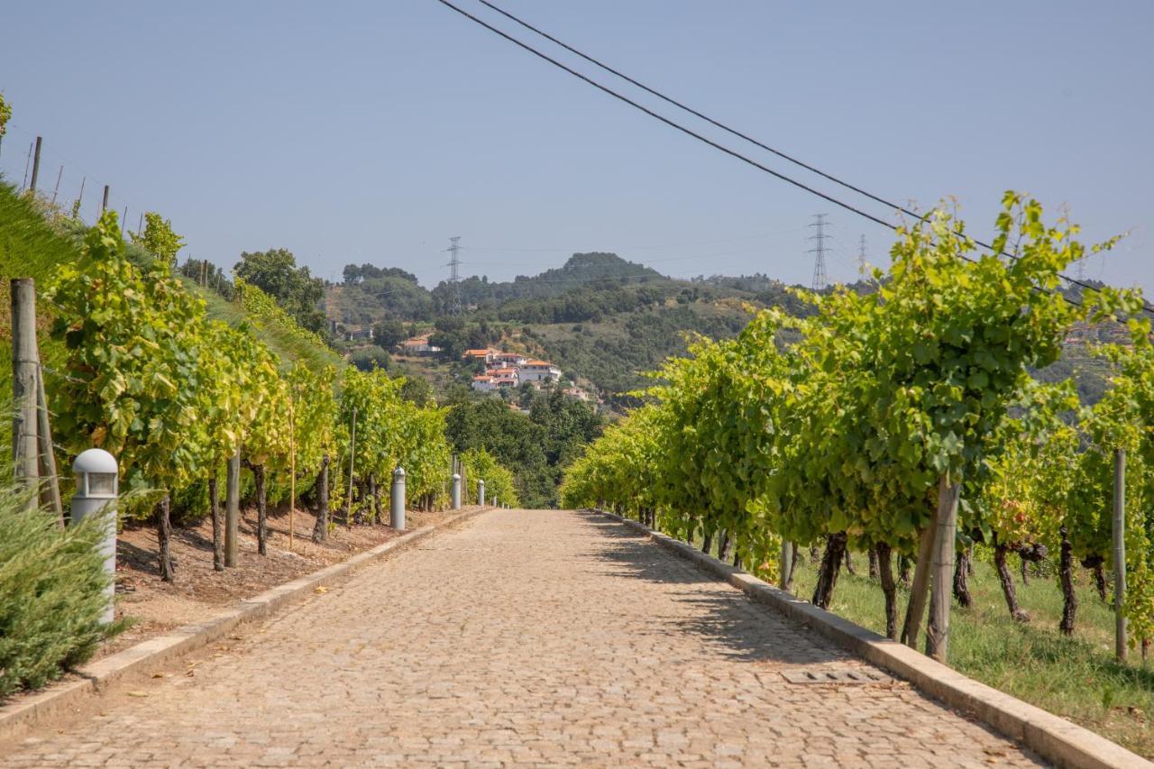 Quinta Da Granja Lejlighed Baião Eksteriør billede